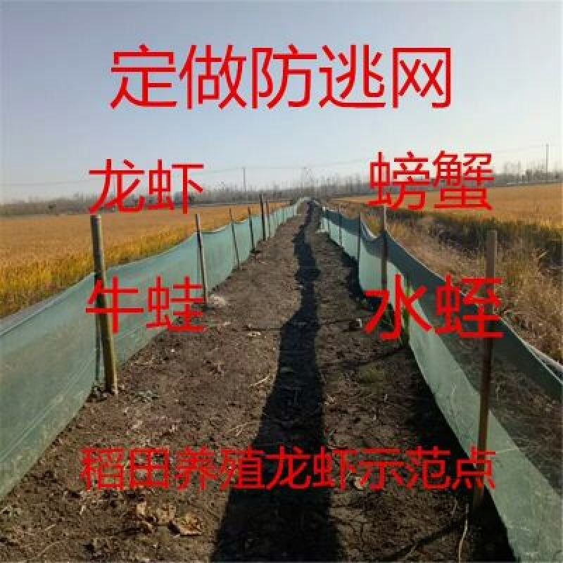 渔网