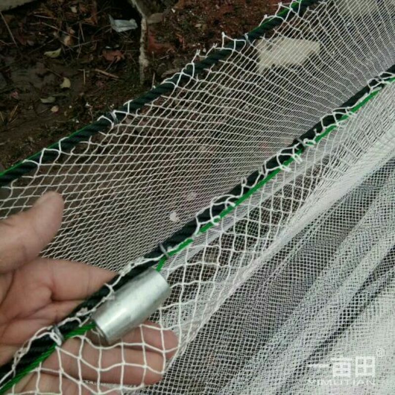 渔网