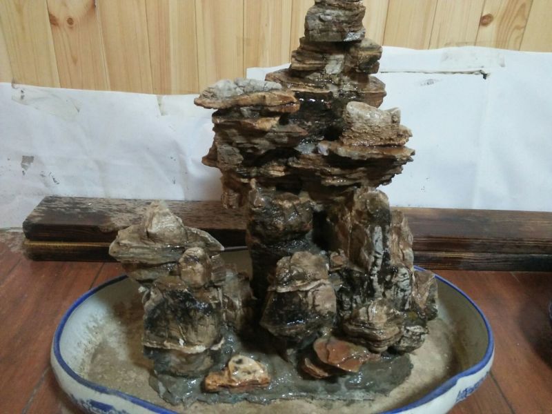 花椒树50~80cm