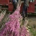 紫荆花树苗80~100cm