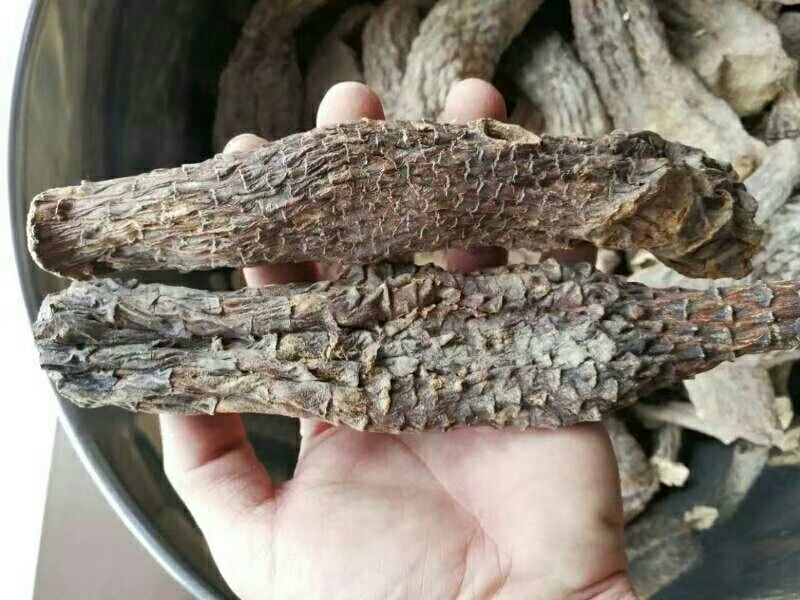 新疆肉苁蓉，青海格尔木发货需要的联系我大量批发