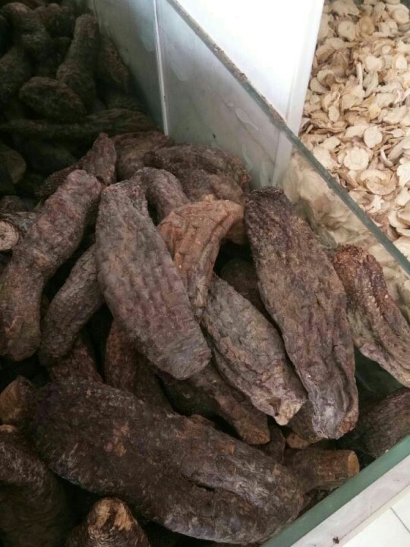 新疆肉苁蓉，青海格尔木发货需要的联系我大量批发