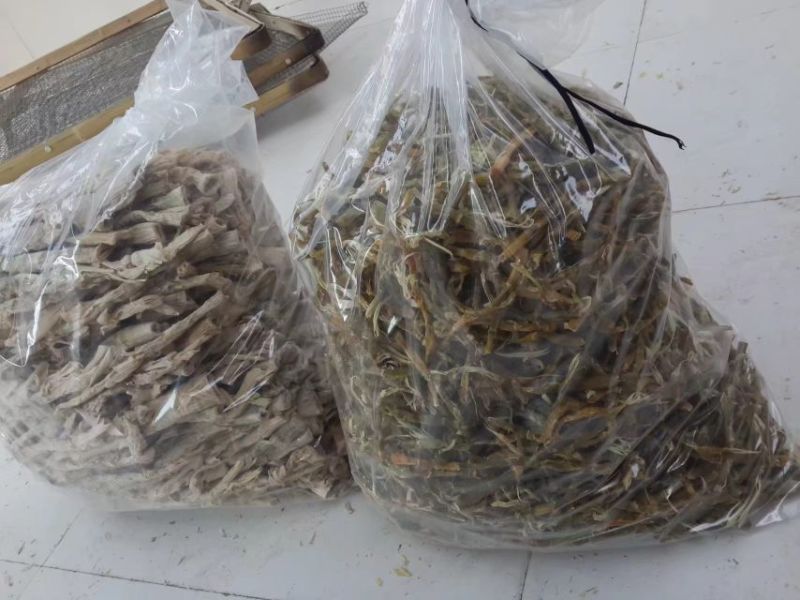 笋干咸笋干