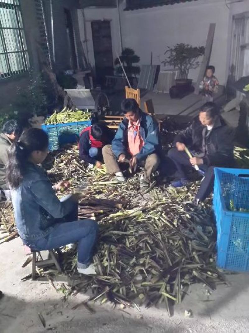 笋干咸笋干