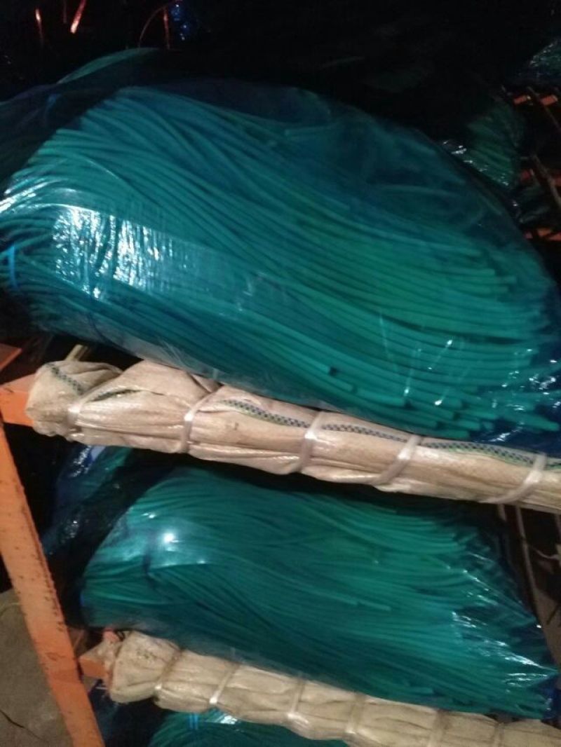 蒜苔4月25号上市专业代收代存金乡蒜苔，冷库出租诚信第一