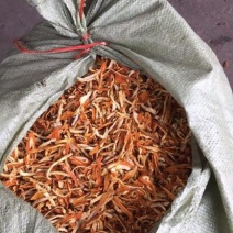 陈皮杂丝