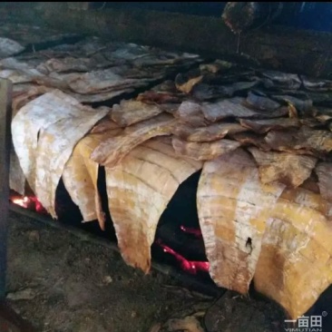 水煮笋干淡笋干