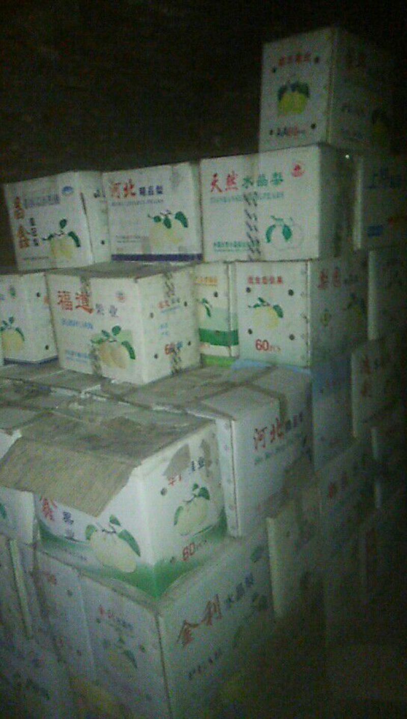 红富士苹果90mm以上膜袋