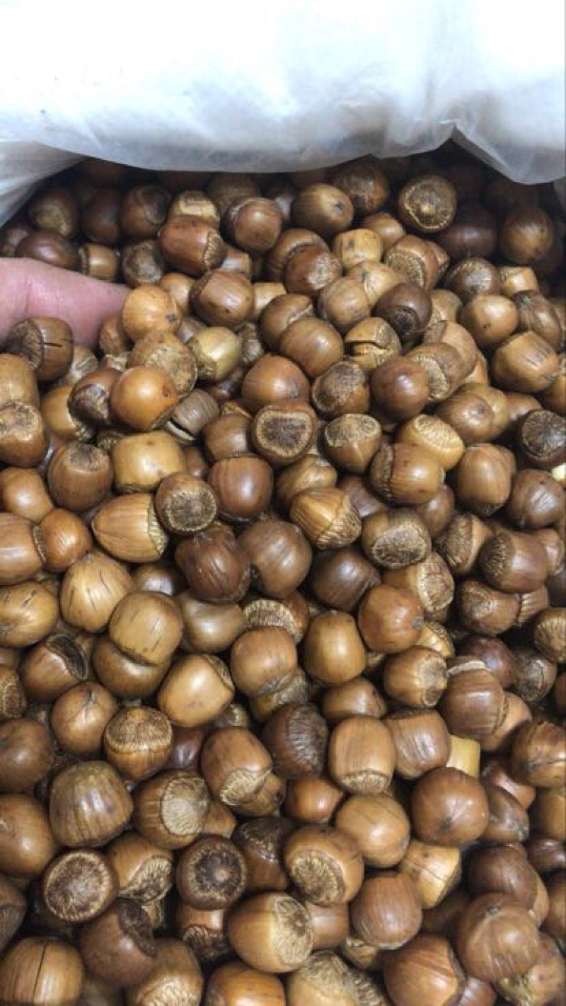 榛子特级
