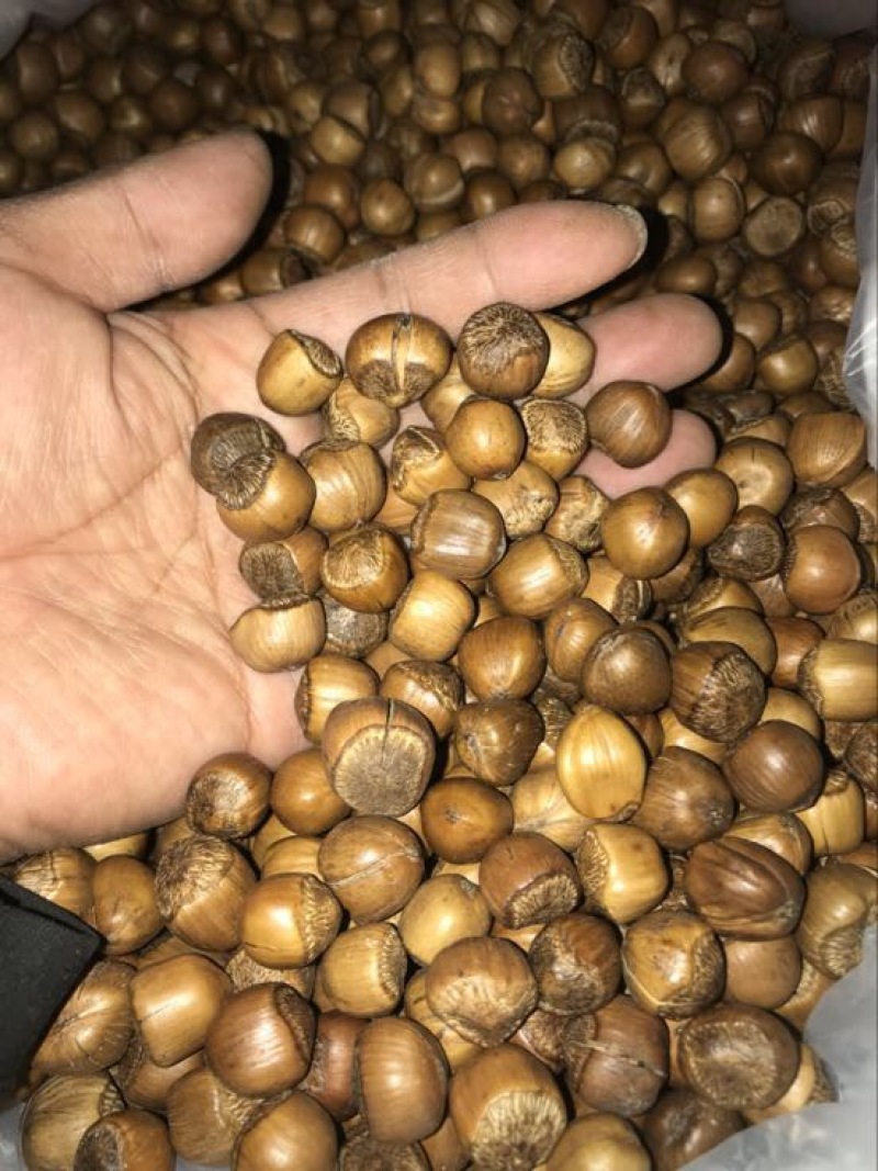 榛子特级