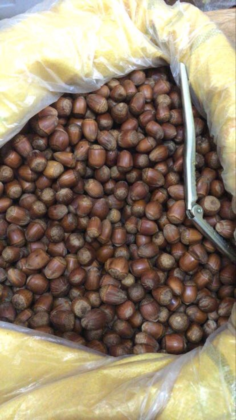 榛子特级