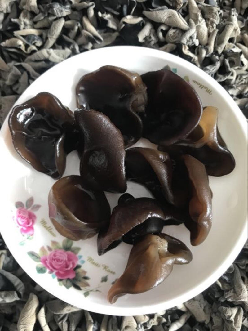 黑木耳特级
