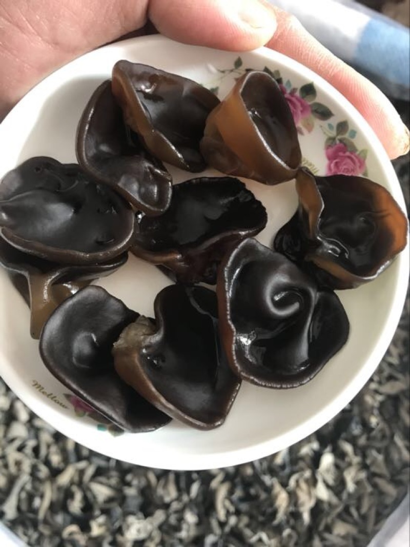 黑木耳特级