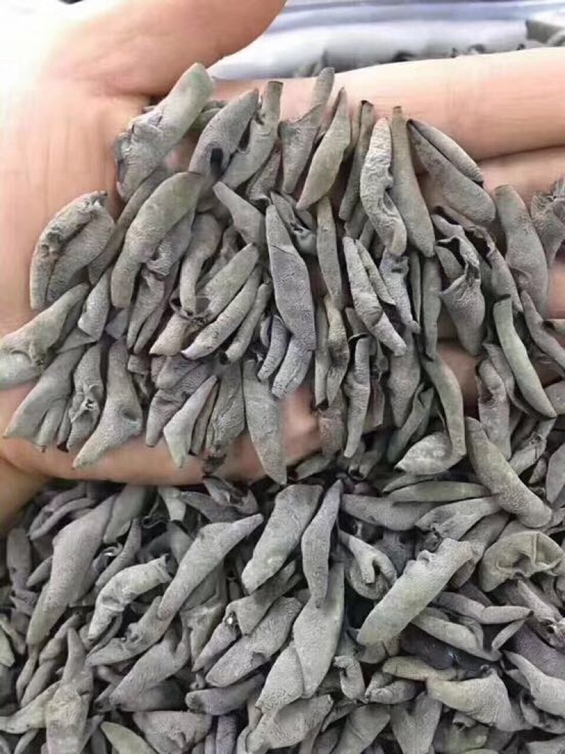 黑木耳特级