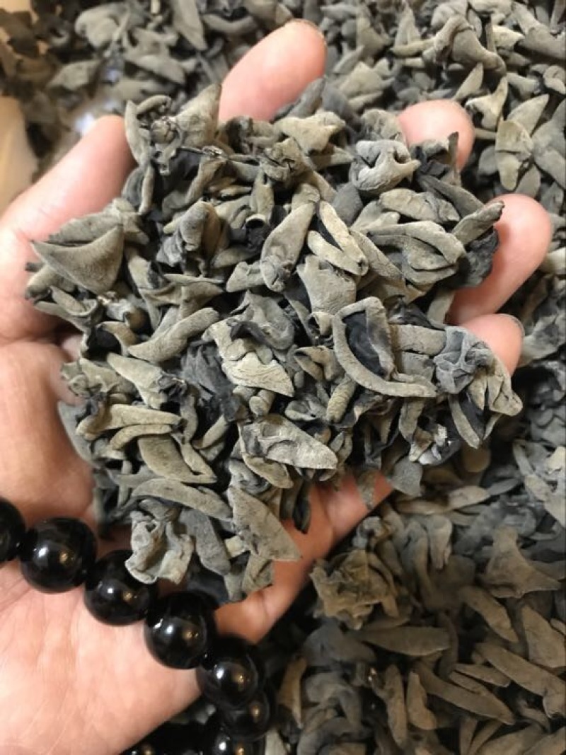 黑木耳特级