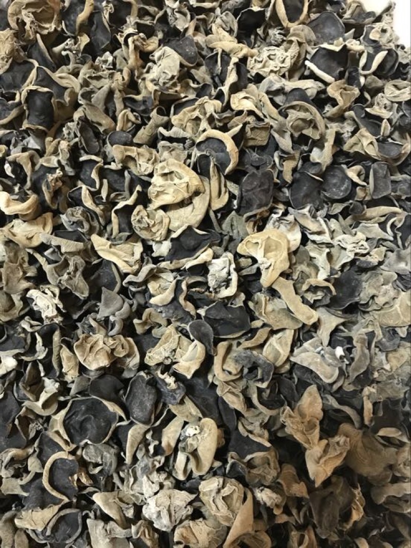 黑木耳特级