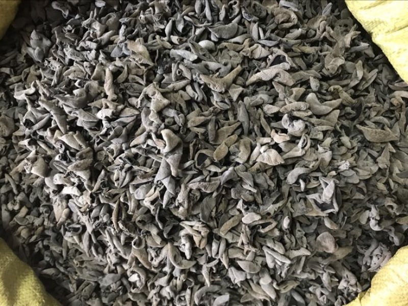 黑木耳特级