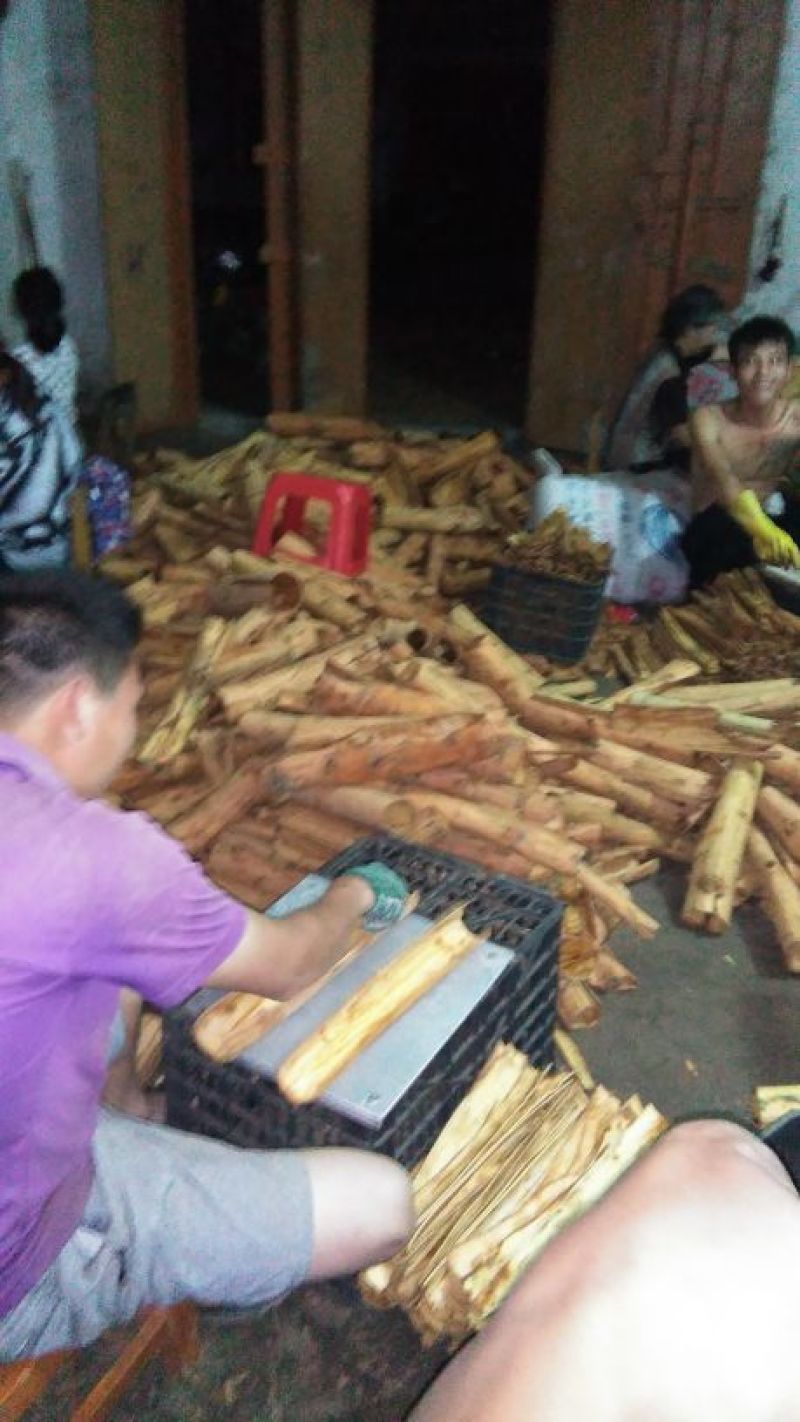 桂皮散装统货