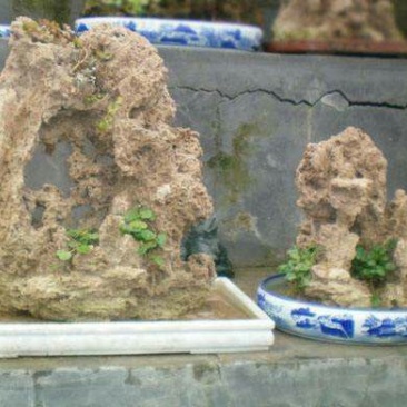 上水石