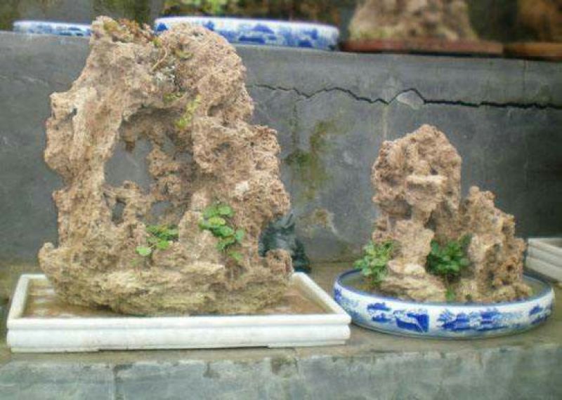 上水石