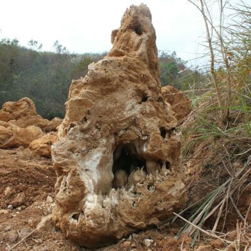 上水石