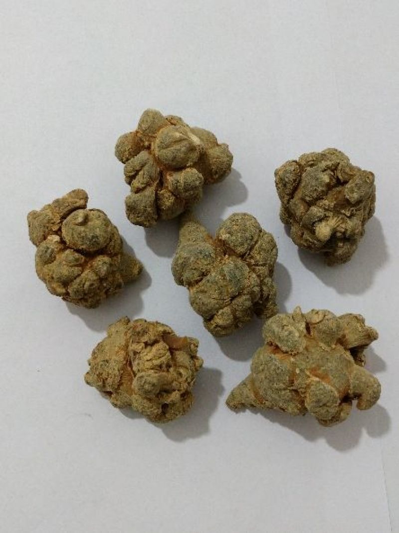 三七免费打粉文山三七产地直销批发零售全国发货
