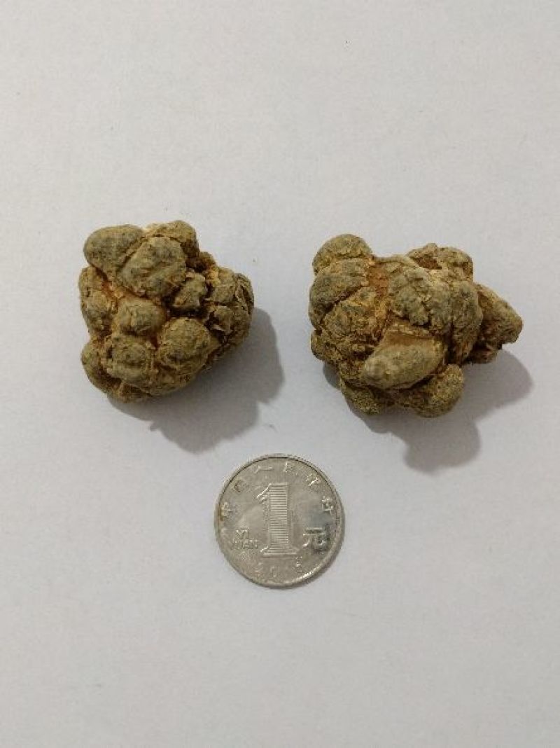 三七免费打粉文山三七产地直销批发零售全国发货