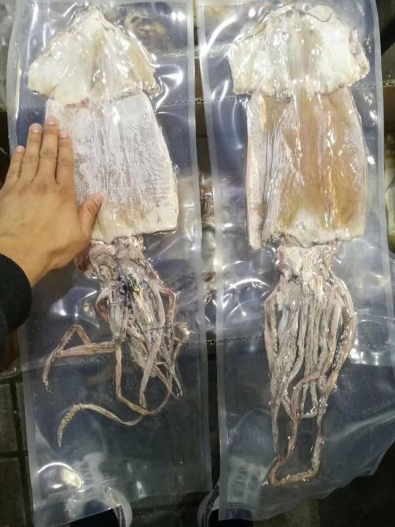 虾干一级
