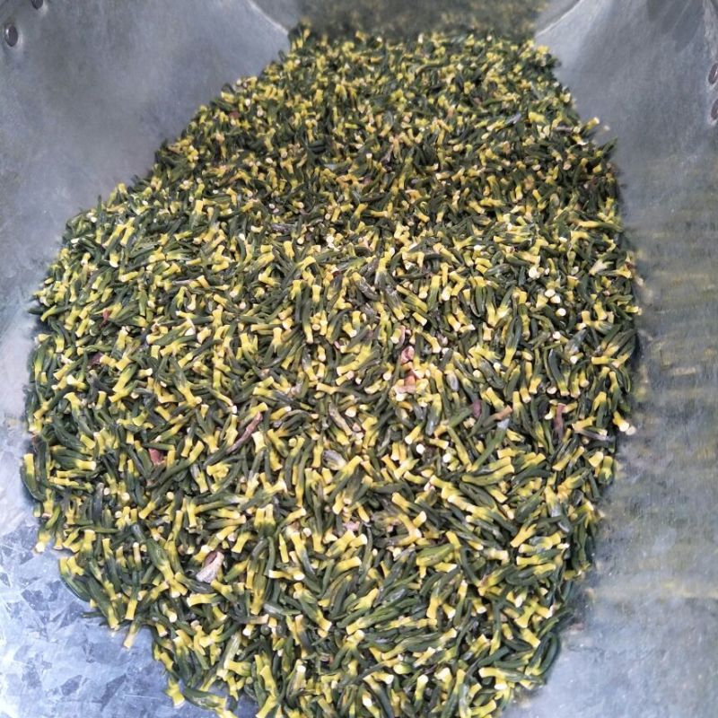 莲子芯特级绿条产地直销
