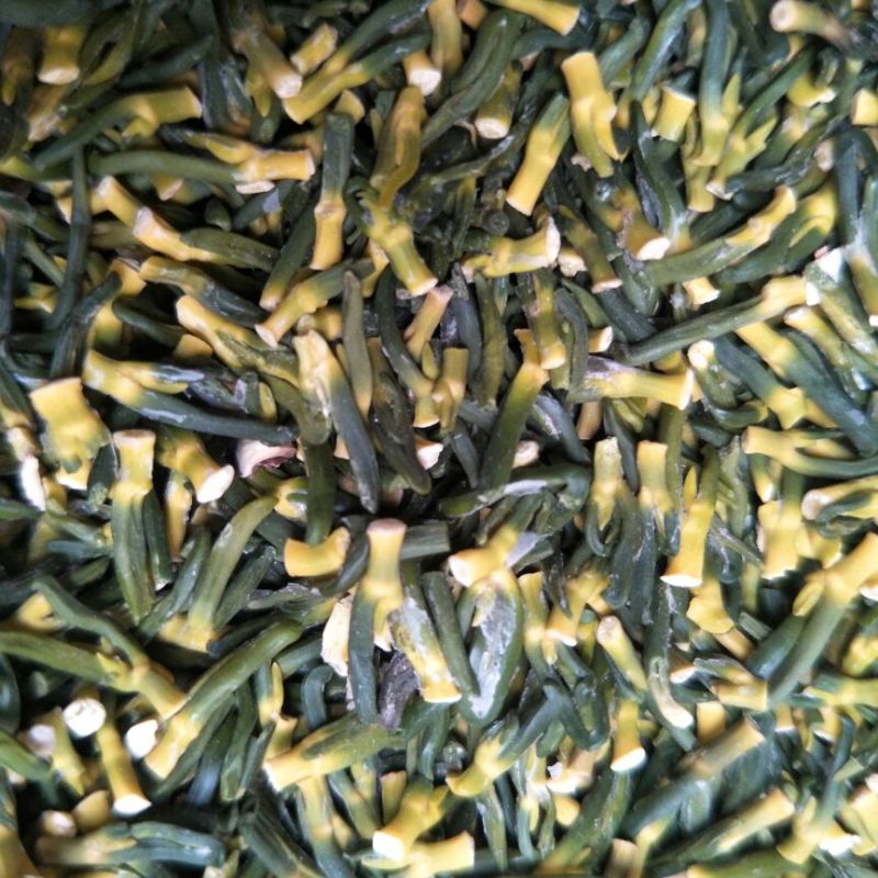 莲子芯特级绿条产地直销