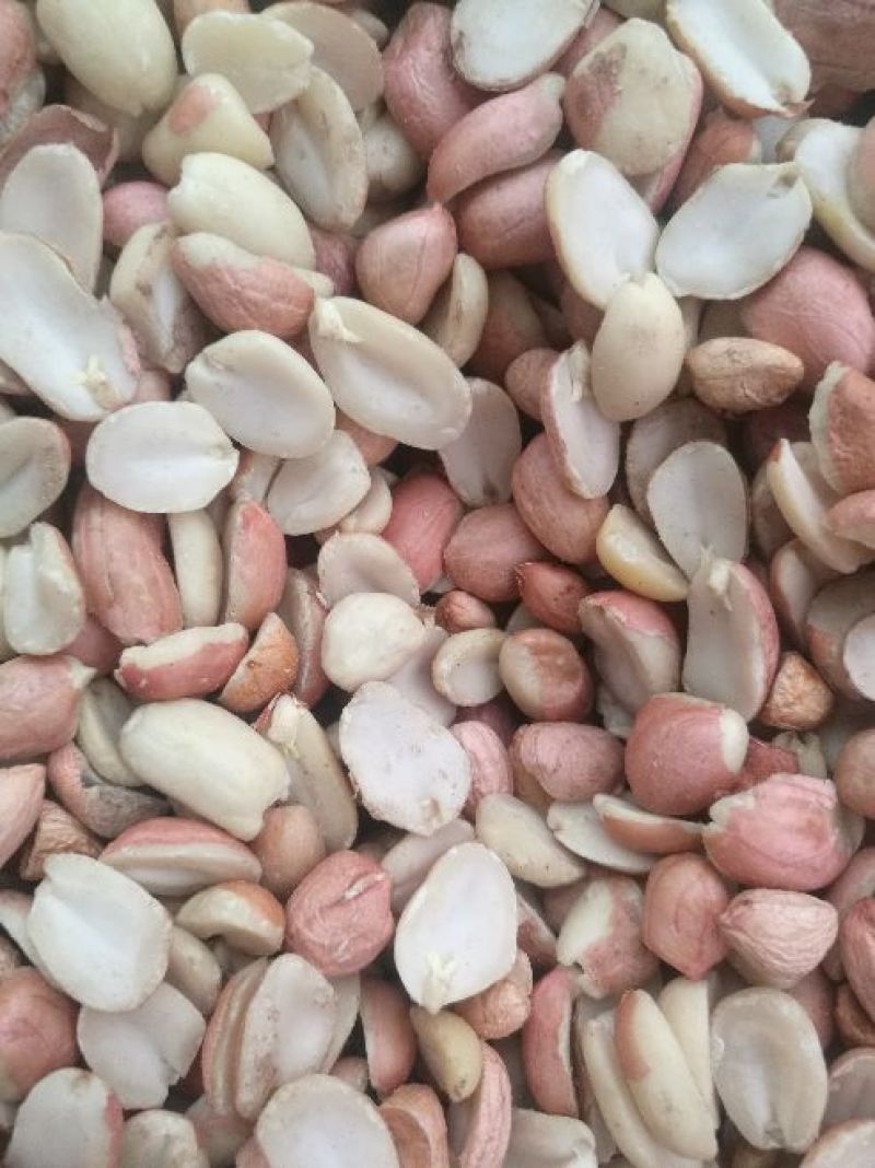 油菜籽1级