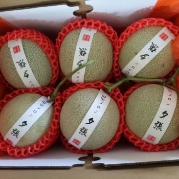 网纹瓜3斤以上椭圆形