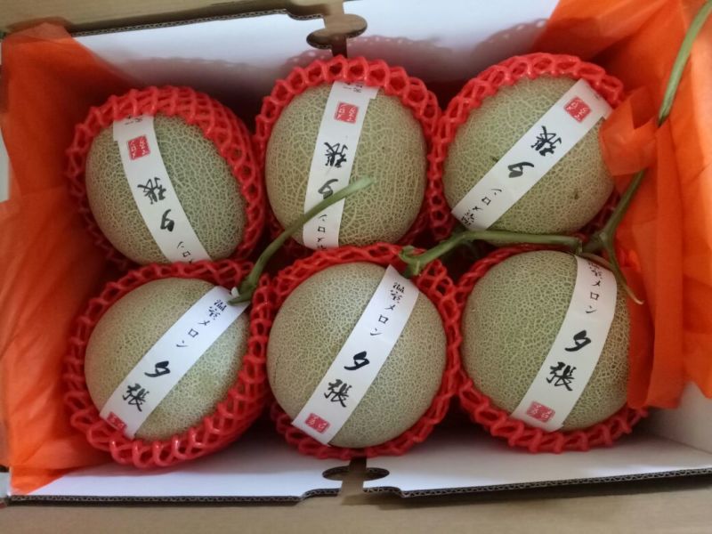网纹瓜3斤以上椭圆形