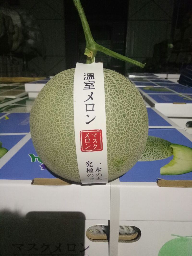 网纹瓜3斤以上椭圆形