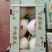 天蜜脆梨甜瓜精品1.5斤以上
