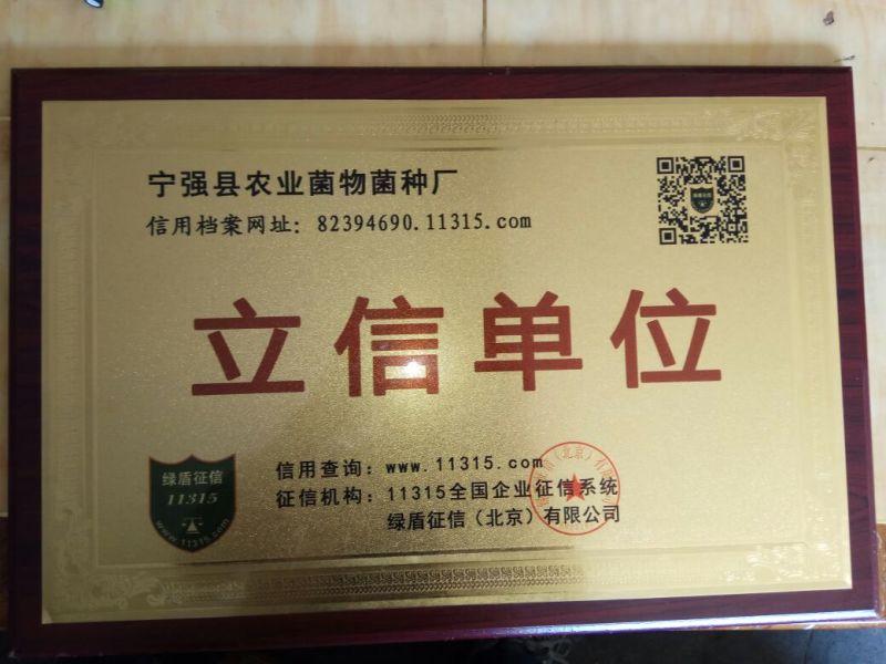 竹荪菌种竹菌菌种三级栽培种免费提供技术支持