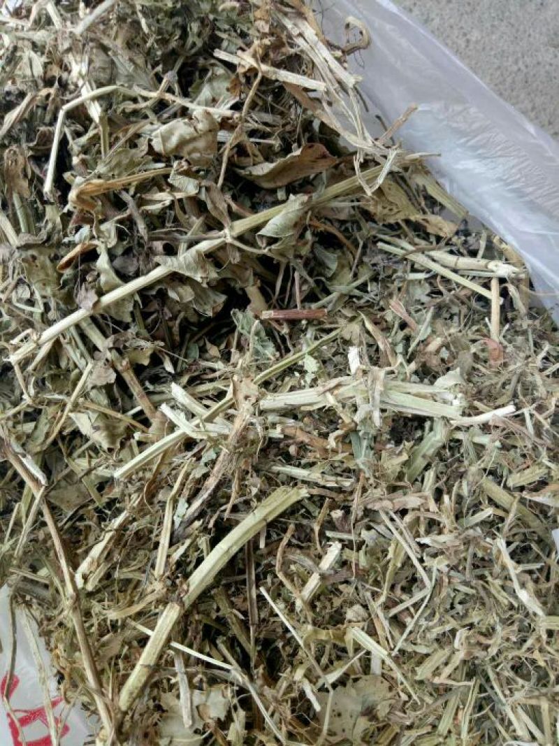 花生秧18个月