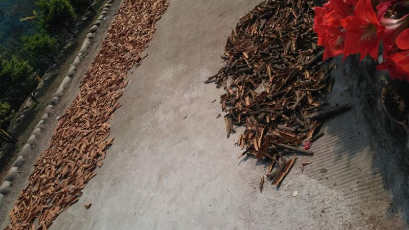 桂碎散装统货