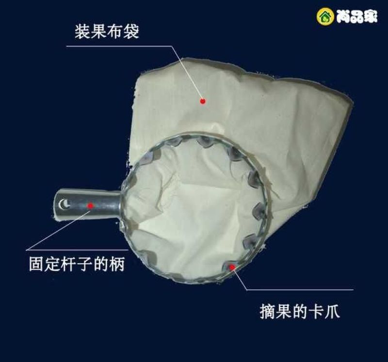 买就送高空伸缩摘果剪采摘器果高枝剪摘果器修枝剪枇杷桃杨梅