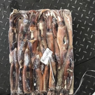 鱿鱼食用冰冻