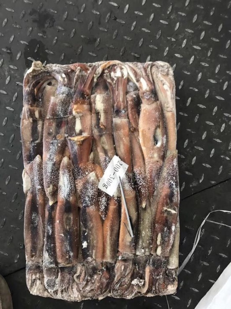 鱿鱼食用冰冻