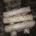 香菇0912菌种栽培种168.808