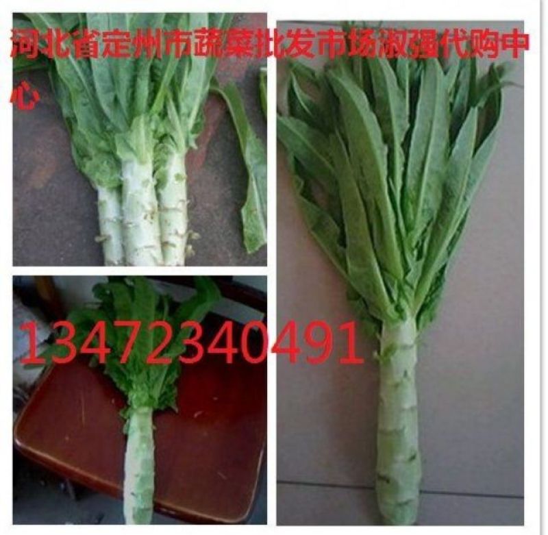 三青皮莴笋青叶莴笋