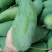 大青芒肉厚核薄纯甜无酸一件代发批发9斤5斤3斤产地直发