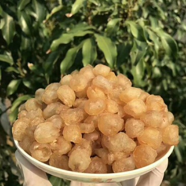 老树桂圆包装