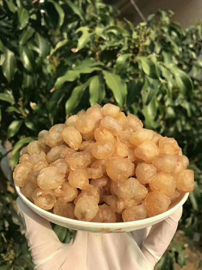 老树桂圆包装