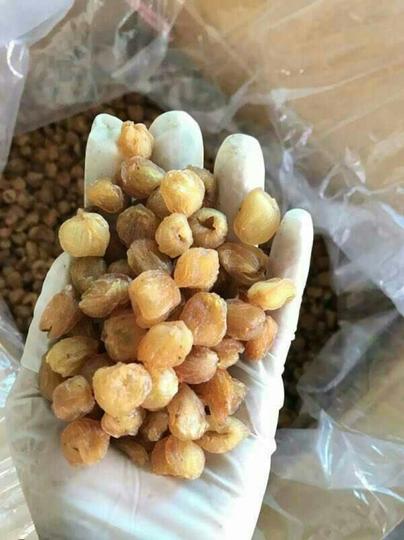 老树桂圆包装