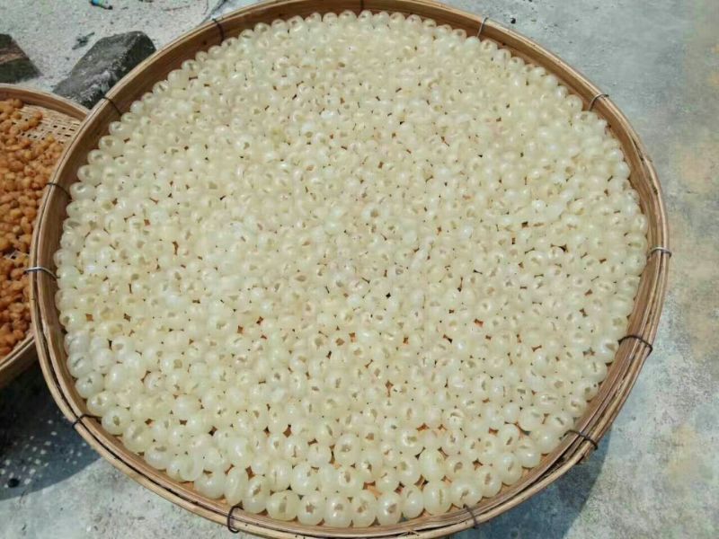 老树桂圆包装