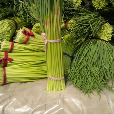 杂交蒜薹通货40~50cm