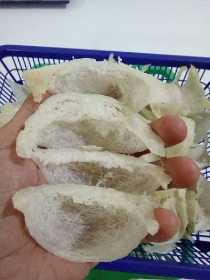 燕窝